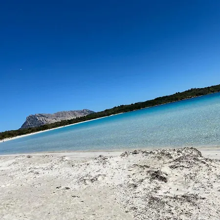 Casa Francesca Puntaldia * San Teodoro (Sardinia)